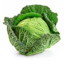 Cabbage Savoy