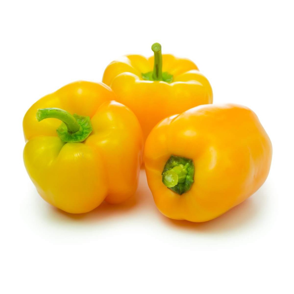 Capsicum Yellow