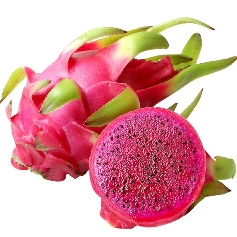 Dragon Fruit Red