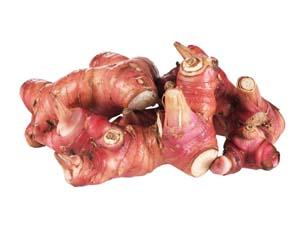 Galangal