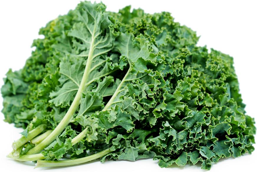 Kale Green