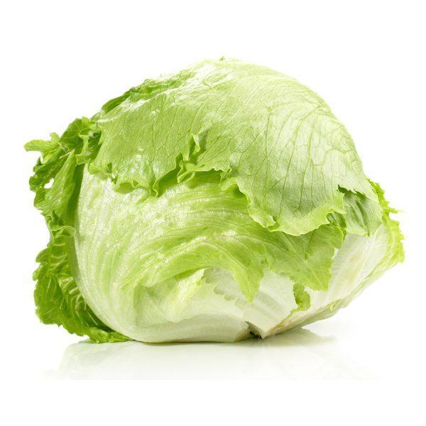 Lettuce Iceberg