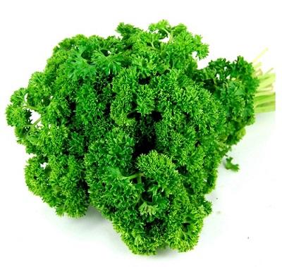 Parsley Curly