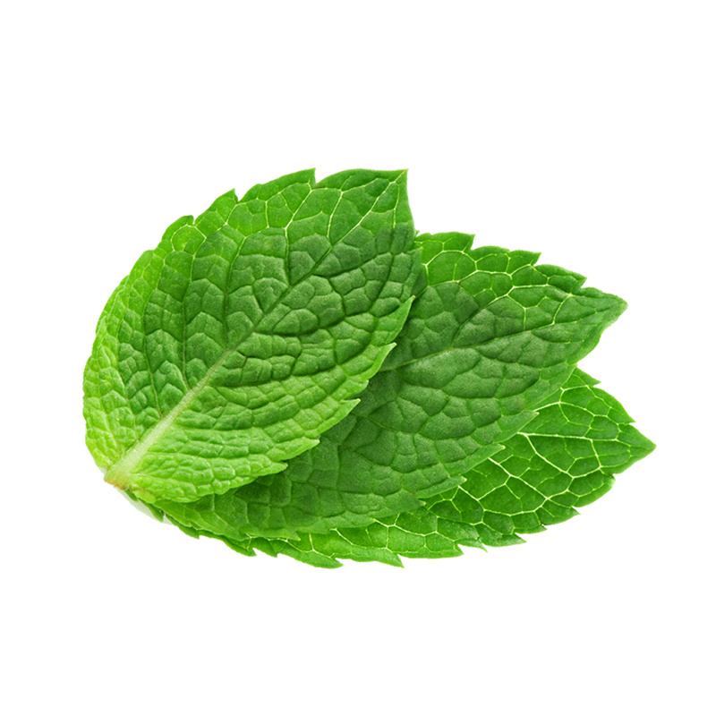 Mint Picked kg