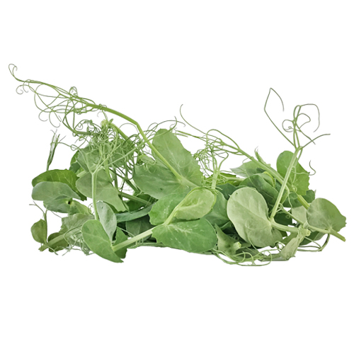 Snow Pea Tendril 100gm