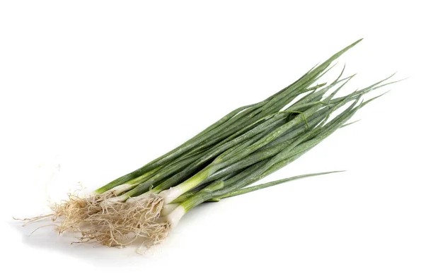 Spring Onion