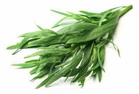 Tarragon