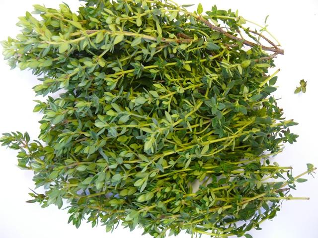 Thyme Lemon