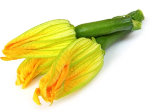 Flowers Zucchini