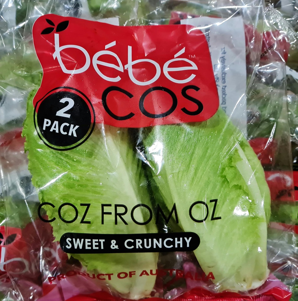 Lettuce Cos Bebe