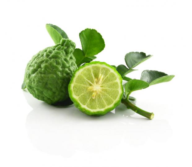 Limes Kaffir