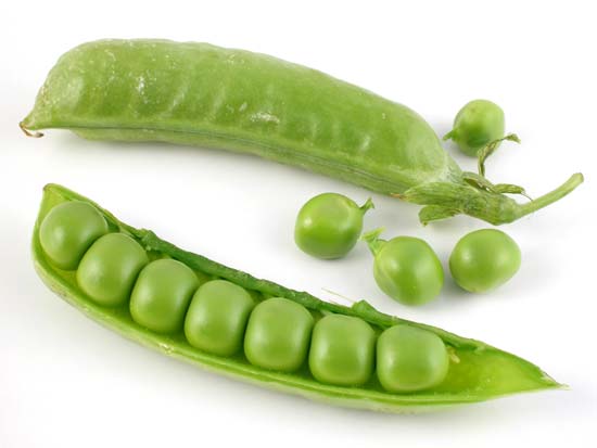 Peas Fresh