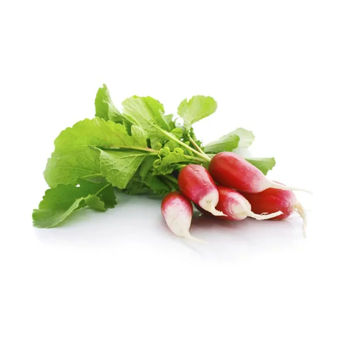 Radish French