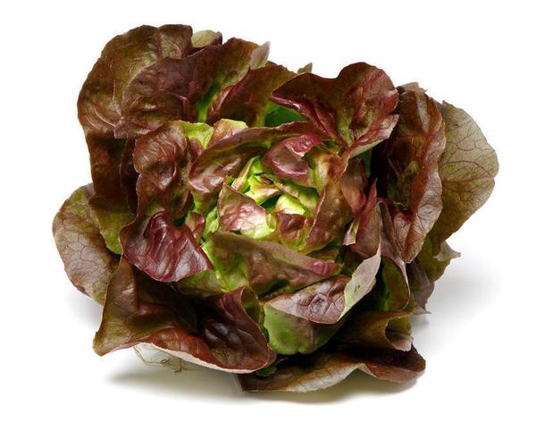 Lettuce Mignonette