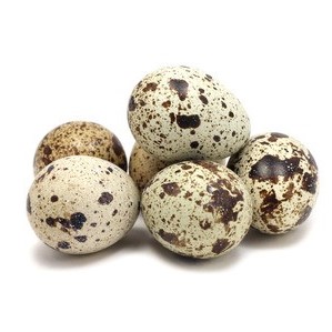 Eggs Quail