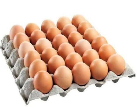 Eggs Cage Free 9.5kg Filler box