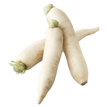 Daikon bunch
