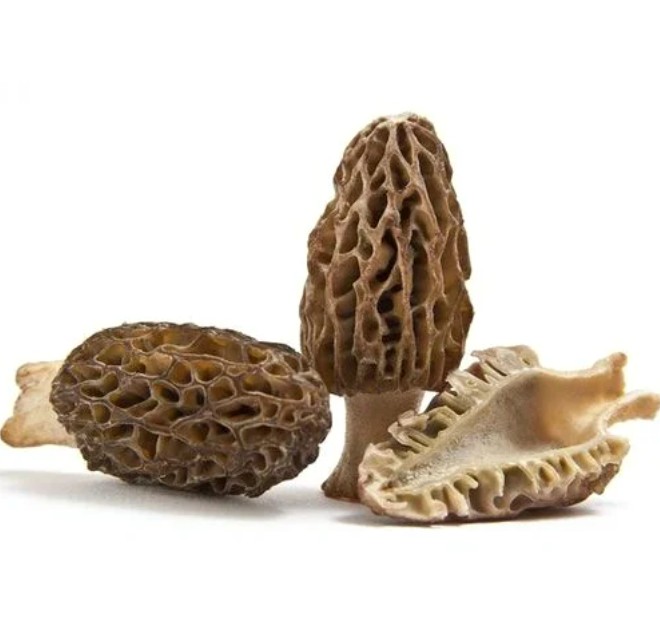 Mushrooms Morel kg