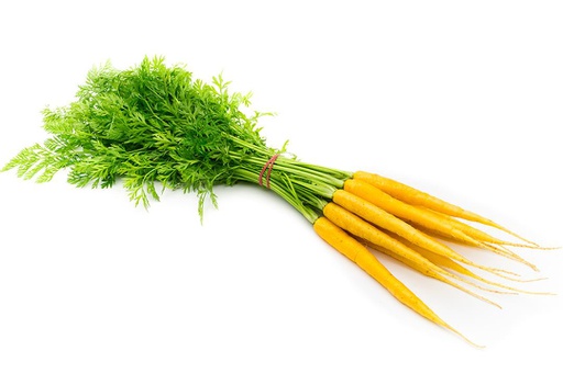 Carrots Dutch Yellow