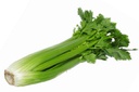 Celery Whole