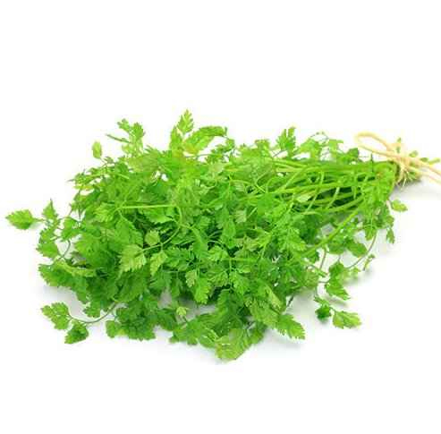 Chervil