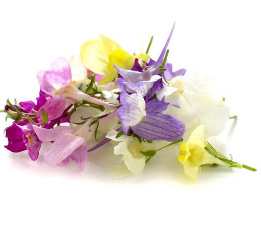 Edible Flowers Linaria