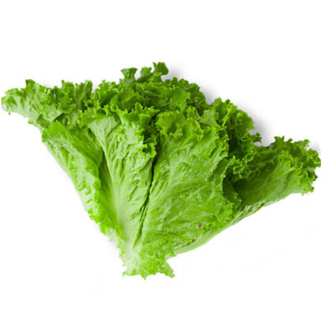 Lettuce Vietnamese