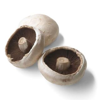 Mushrooms Flat M