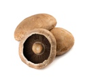 Mushrooms Swiss Flat S