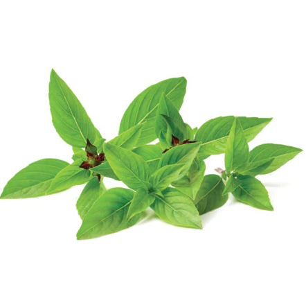 Basil Thai Picked kg
