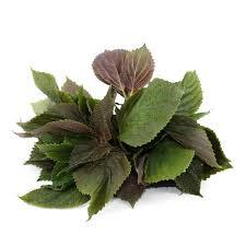 Shiso Red