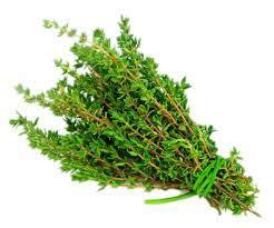 Thyme