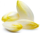 Witlof White kg