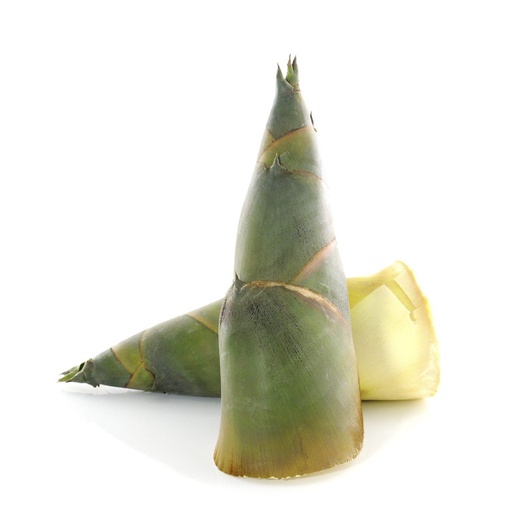 Bamboo Shoot