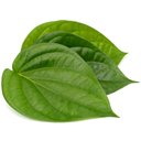 Betel Picked kg