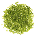 Capsicum Green Brunoise Cut