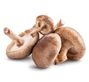 Mushrooms Shiitake Aussie