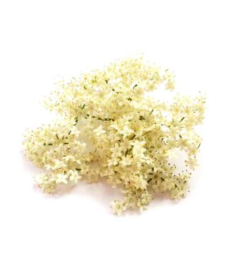 Edible Elderflower