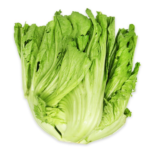 Mustard Kai Choy ea