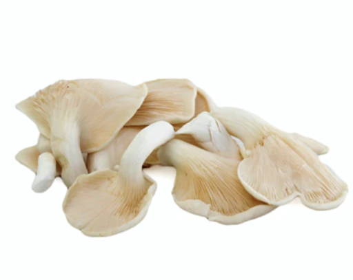 Mushrooms Oyster White kg