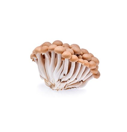 Mushrooms Brown Shimeji 320gm