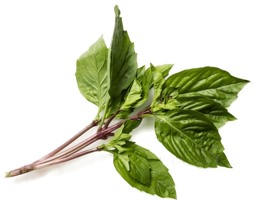 Basil Thai dk